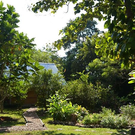 Iguana Roost Tourism Gold Standard Fully Equipped Two Bedroom Cabin San Ignacio Exteriör bild