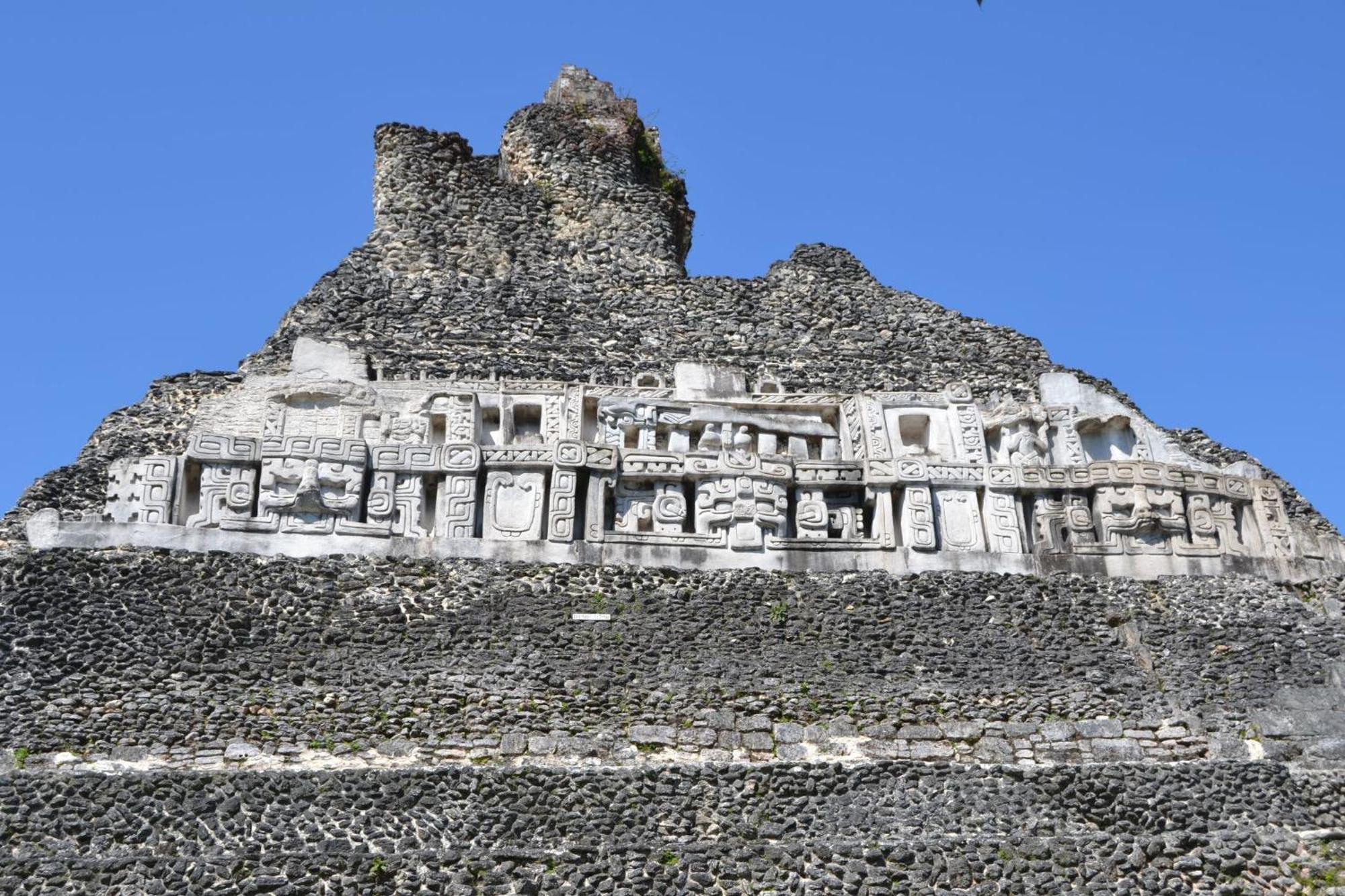Iguana Roost Tourism Gold Standard Fully Equipped Two Bedroom Cabin San Ignacio Exteriör bild