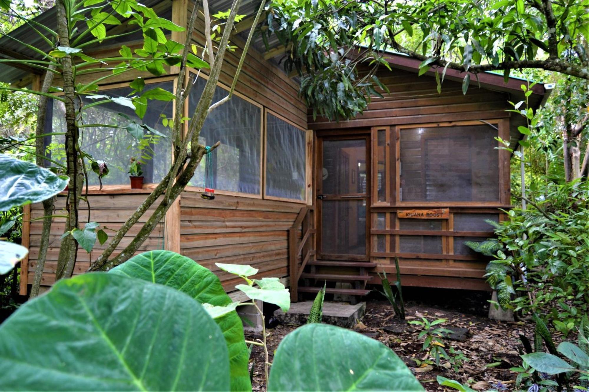 Iguana Roost Tourism Gold Standard Fully Equipped Two Bedroom Cabin San Ignacio Exteriör bild