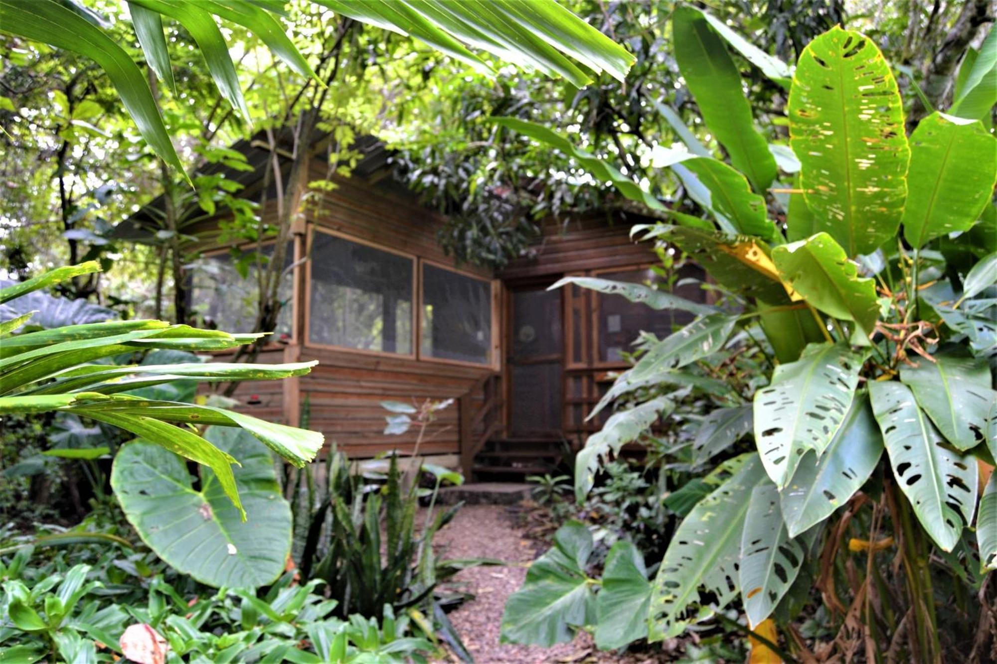 Iguana Roost Tourism Gold Standard Fully Equipped Two Bedroom Cabin San Ignacio Exteriör bild